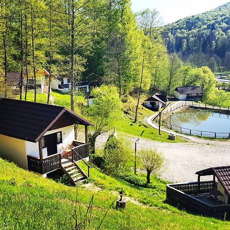 Hotel Satu Muscelean Albestii de Muscel Exterior foto