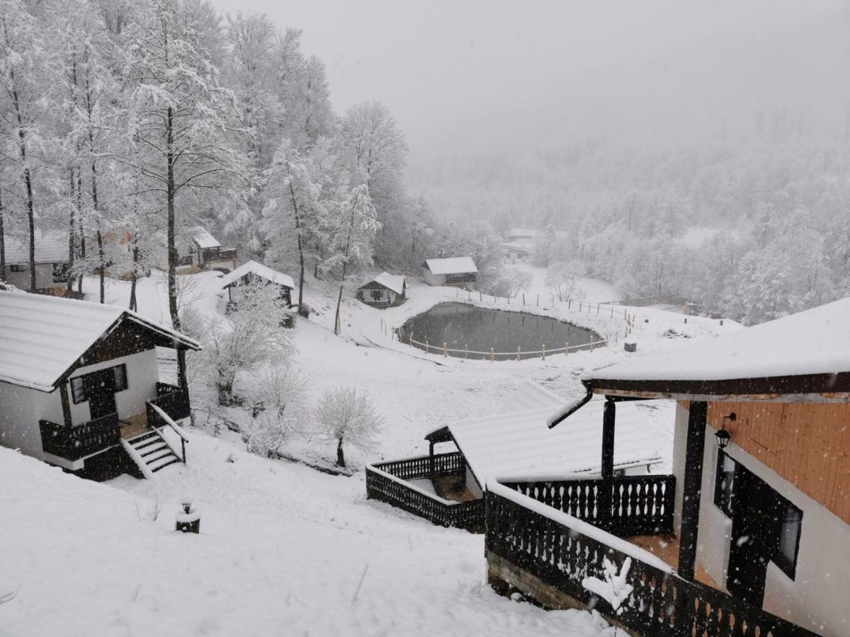 Hotel Satu Muscelean Albestii de Muscel Exterior foto