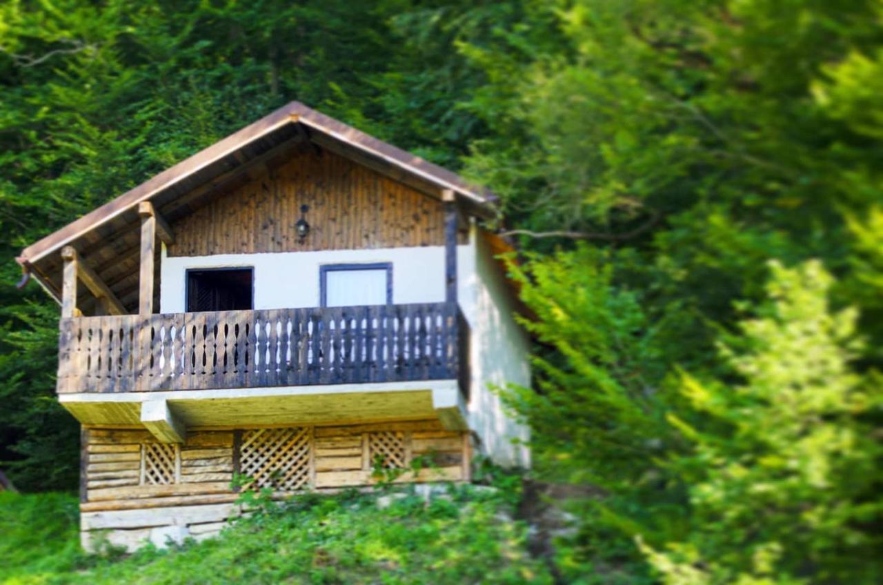 Hotel Satu Muscelean Albestii de Muscel Exterior foto